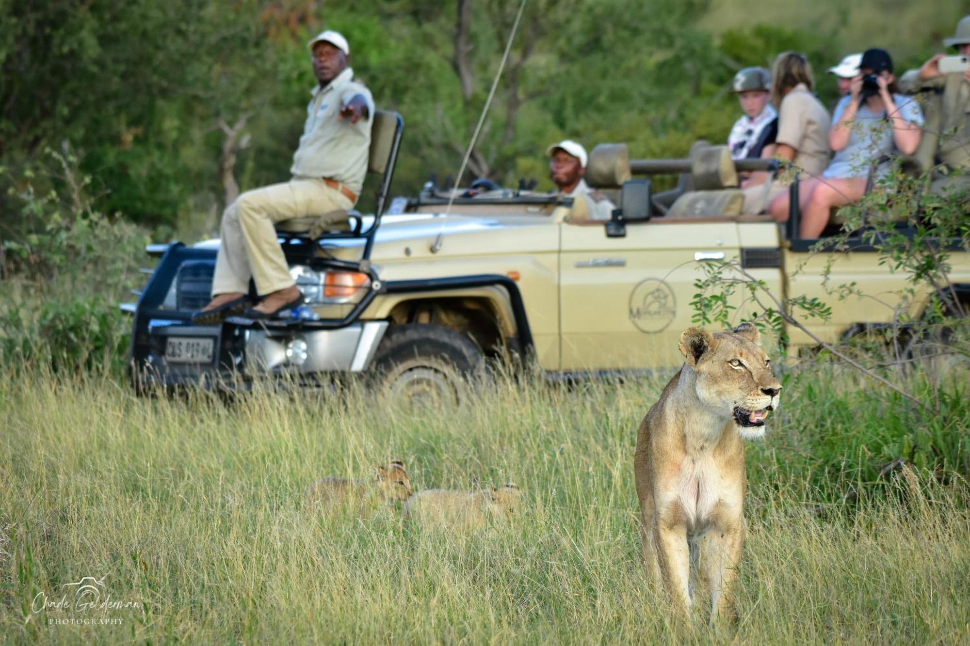 Mohlabetsi Safari Lodge *
