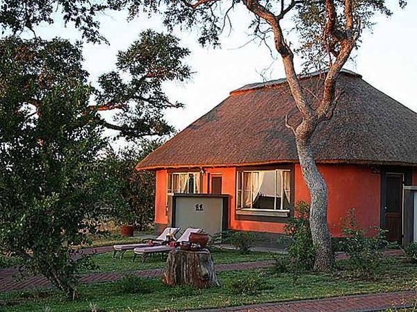 Mohlabetsi Safari Lodge Hoedspruit