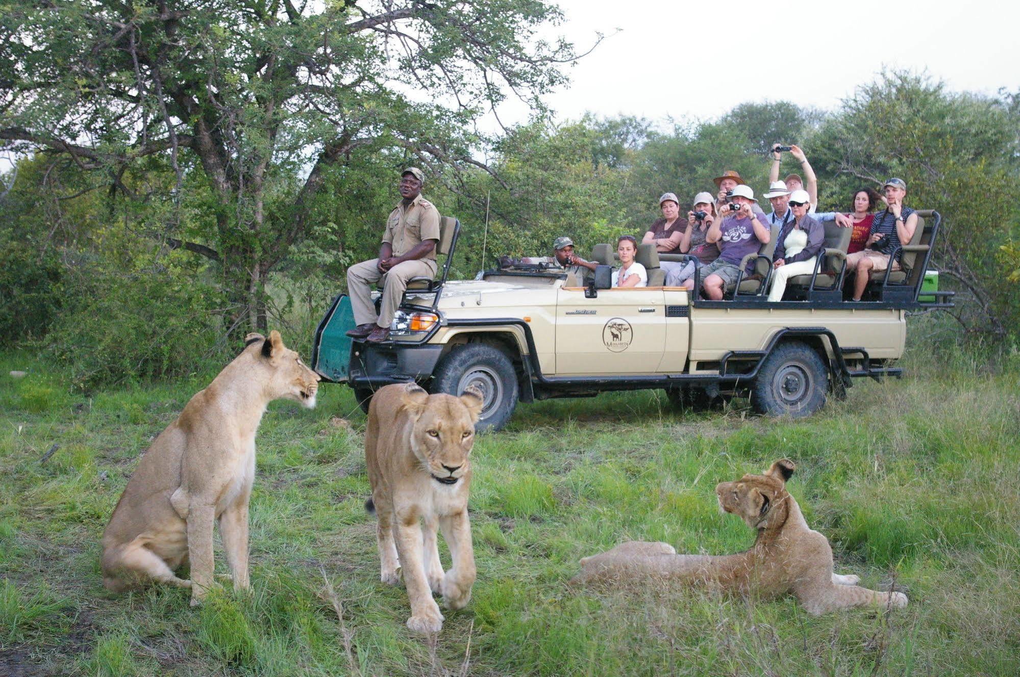 Mohlabetsi Safari
